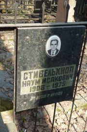 Стивелькноп Наум Исакович, Москва, Востряковское кладбище